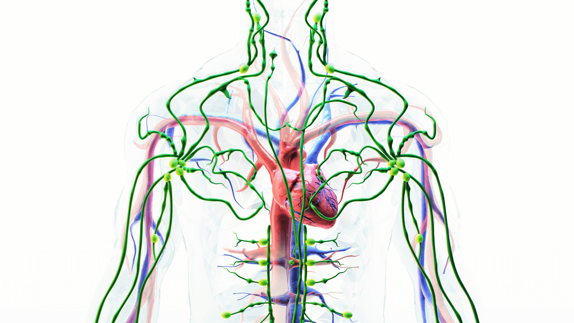 Manuelle Lymphdrainage Anwendung